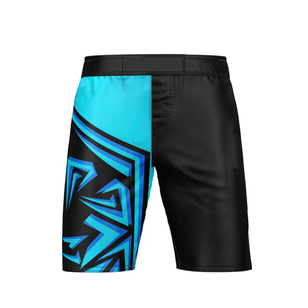 03-31.jpg MMA Shorts - Image 1